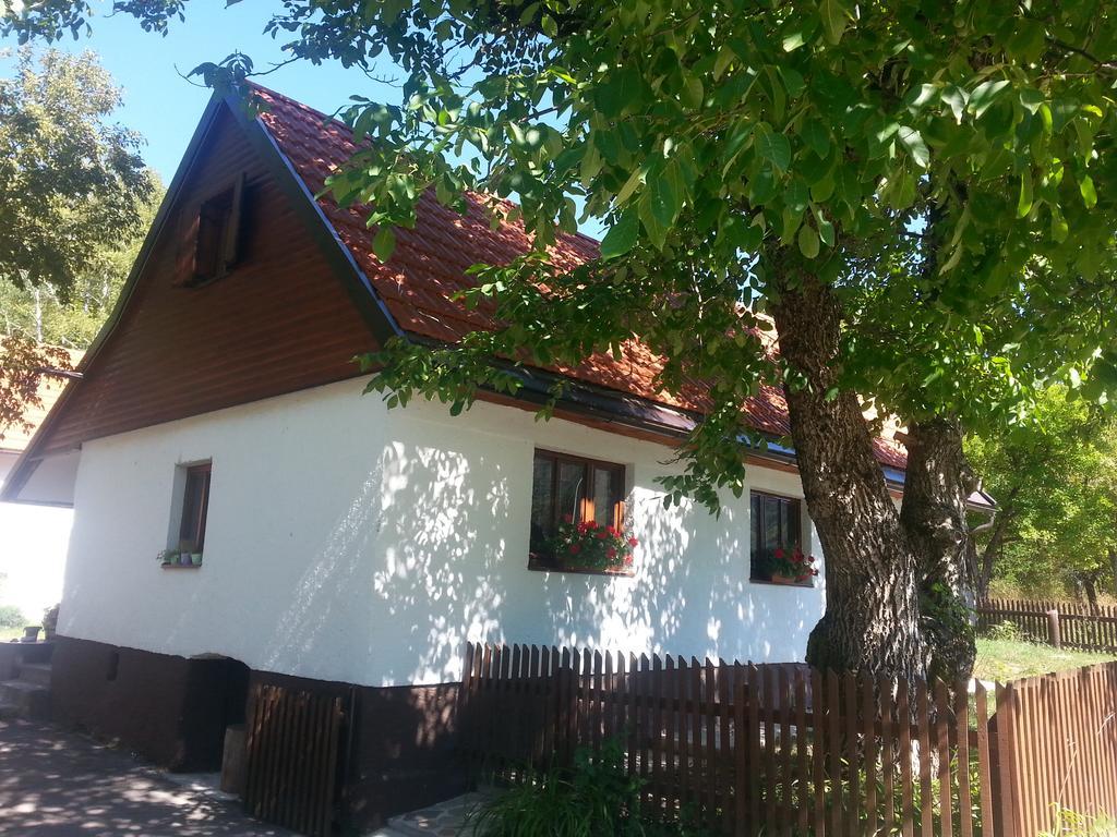 Holiday Home Rizvan City Brusane 외부 사진